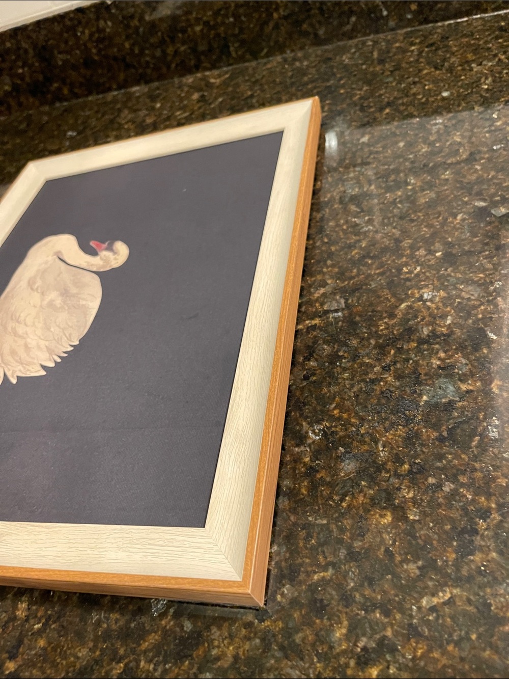 Framed Swan Artwork - Cream Swan on Dark Backgroundy - Picture 13 of 14
